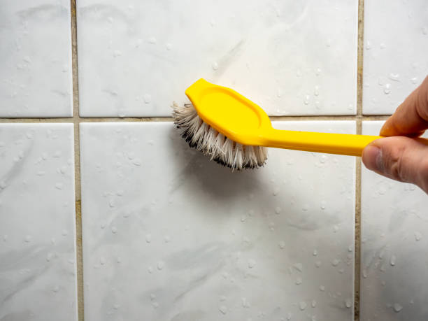 Best Post-Remediation Services in Noble, OK