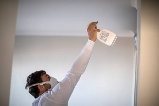 Best Commercial Mold Remediation in Noble, OK