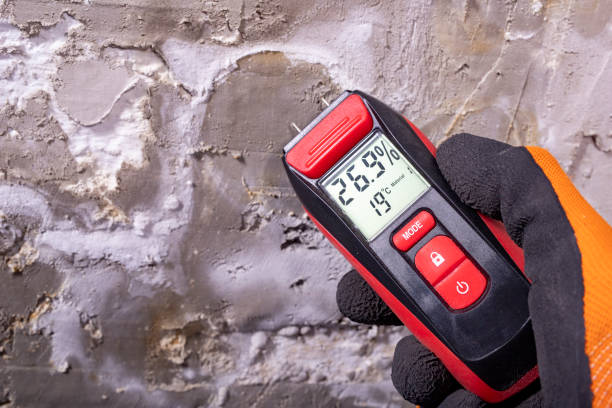 Best Localized Mold Remediation (e.g., coastal areas, humid climates) in Noble, OK