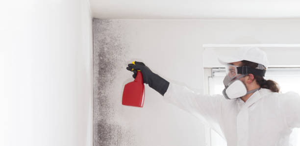 Best Post-Flood Mold Remediation in Noble, OK